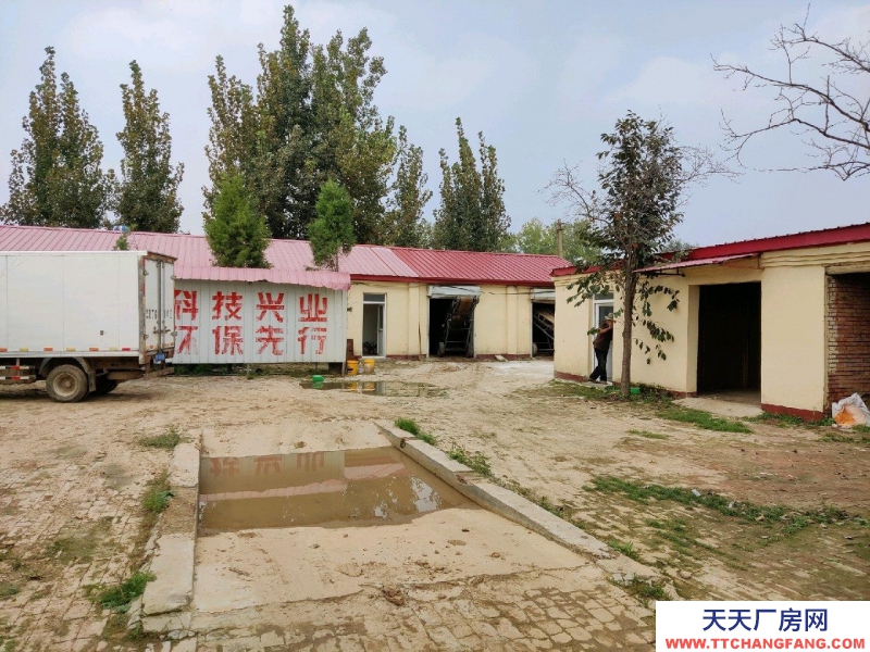 廊坊 大城 面積兩畝半地，房屋12間，有變壓器，了以辦廠養殖等。