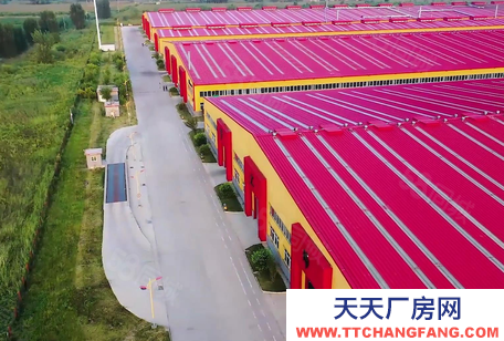 廊坊 文安 37592廊坊市文安縣新橋經(jīng)濟(jì)開發(fā)區(qū)131408平廠房出租