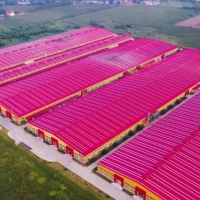 廊坊市文安縣新橋經濟開發區13000平米廠房出租