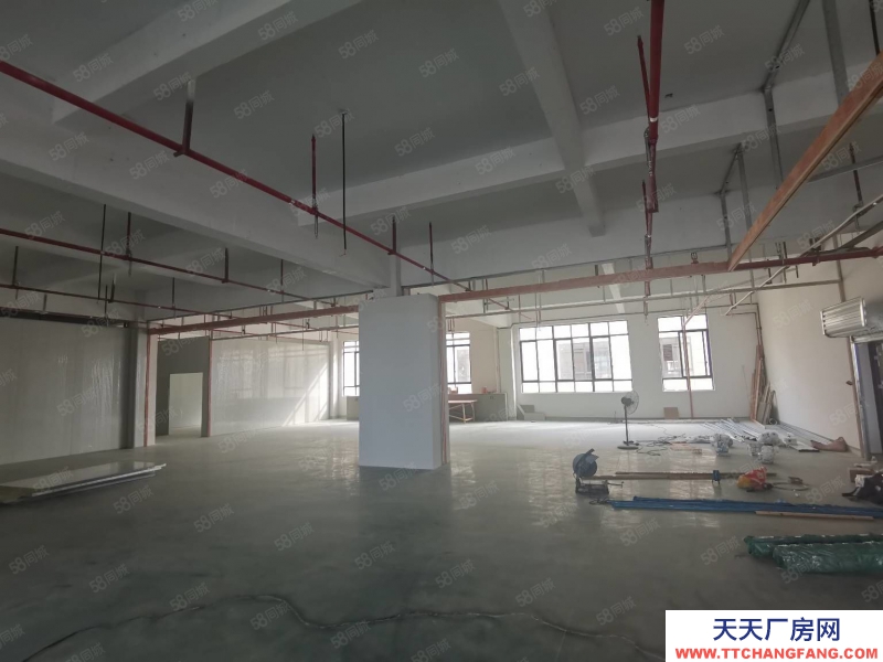 溫州洞頭(出租) 洞頭廠房出租面積500到20000平可以食品生產