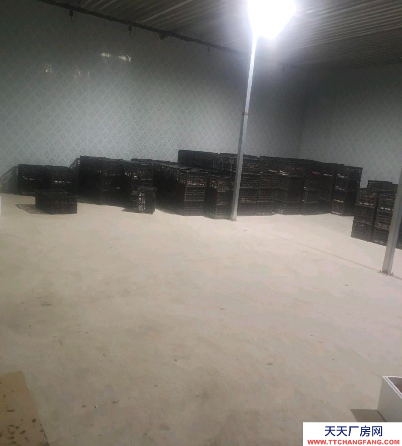 (出租) 蘭州永登130平方冷凍庫，國道邊交通便利