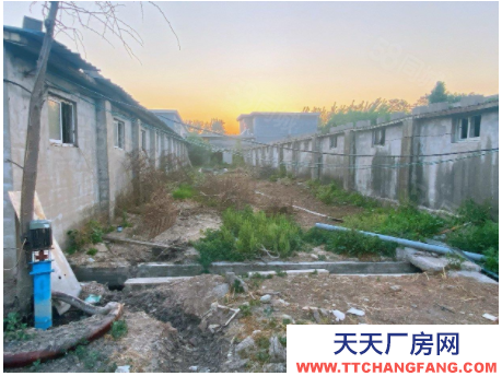 臨沂郯城縣好位置養(yǎng)殖場(chǎng)出租出售