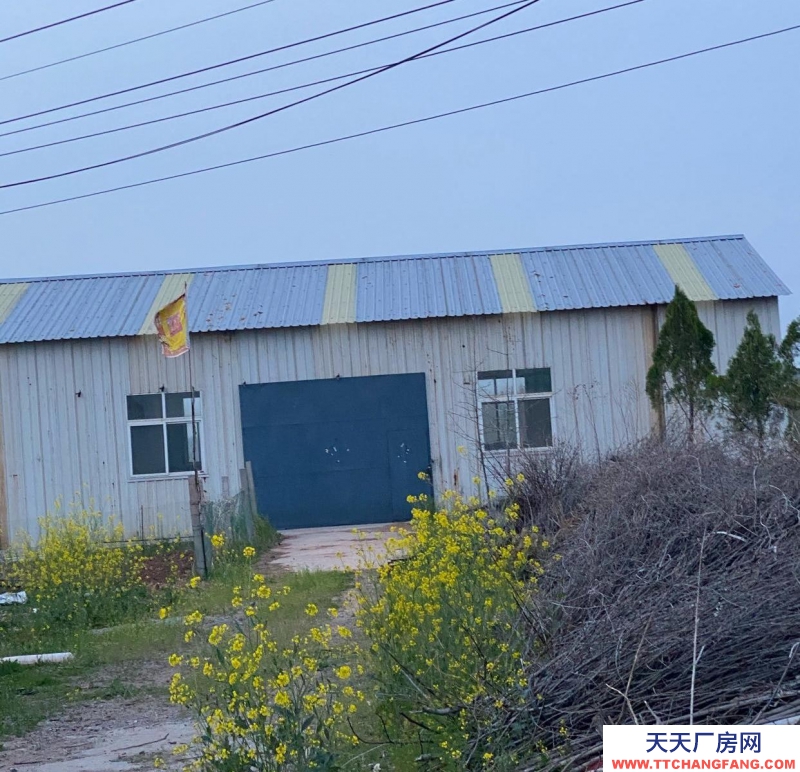 臨沂郯城主房十間，廠房300平方米