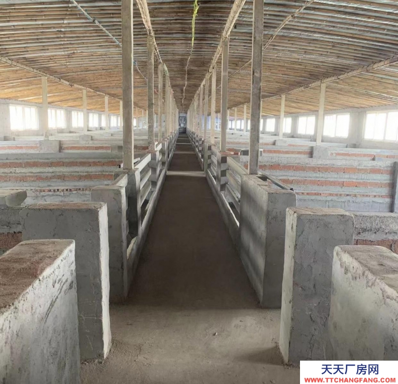 臨沂郯城養殖場出售 有意者電話聯系