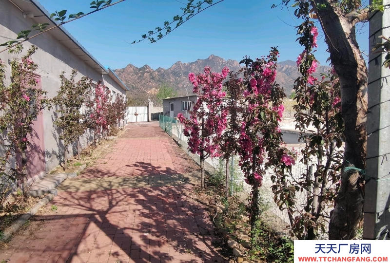 秦皇島 海港 農家院,養魚塘,養殖牛羊配套設施
