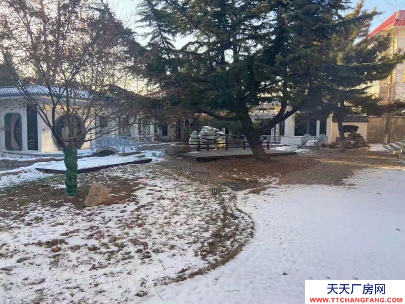 秦皇島 海港 出售海港海港區港城早市對面商鋪