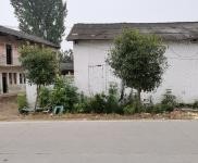 (出租) 天門面積1300多平米實際占地3畝，舊房可以按需改造可做倉庫。