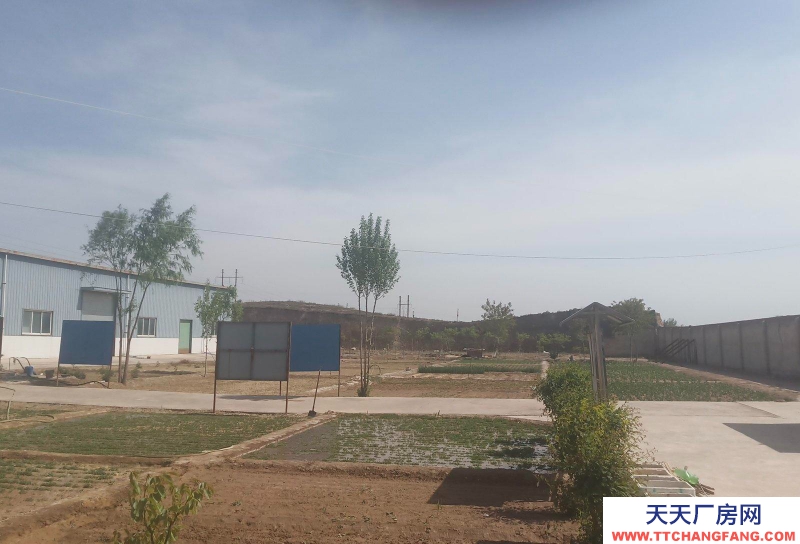 (出租) 蘭州永登廠房。水、電齊全?，F出租或項目合作！