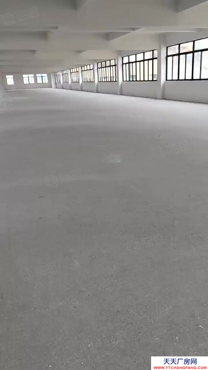 溫州洞頭(出售) 誠售洞頭新獨門獨院2500平方適合各行各業(yè)