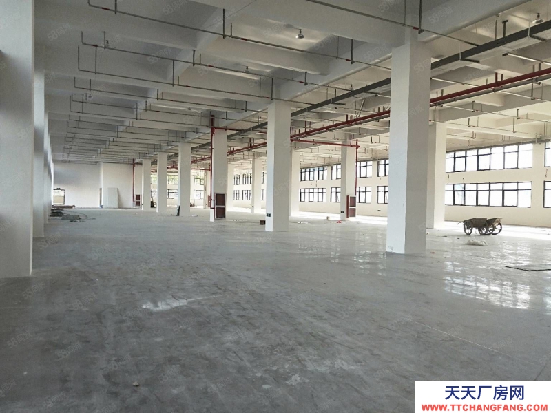 溫州永嘉(出租) 出租甌北安豐工業區一樓1250平,適合各行業可分價格實惠