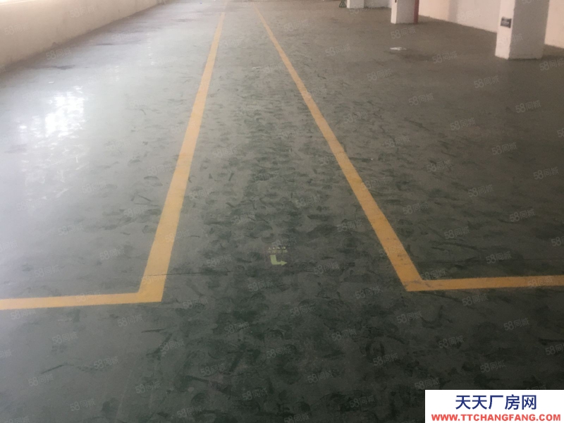 溫州永嘉(出租) 黃田600平方，彩鋼8米高有行車