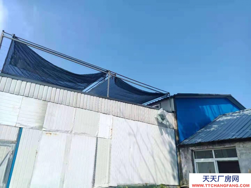 秦皇島 山海關(guān) 本廠主要經(jīng)營大醬,面醬,蒜蓉辣醬,技術(shù)成熟,正常營業(yè)中