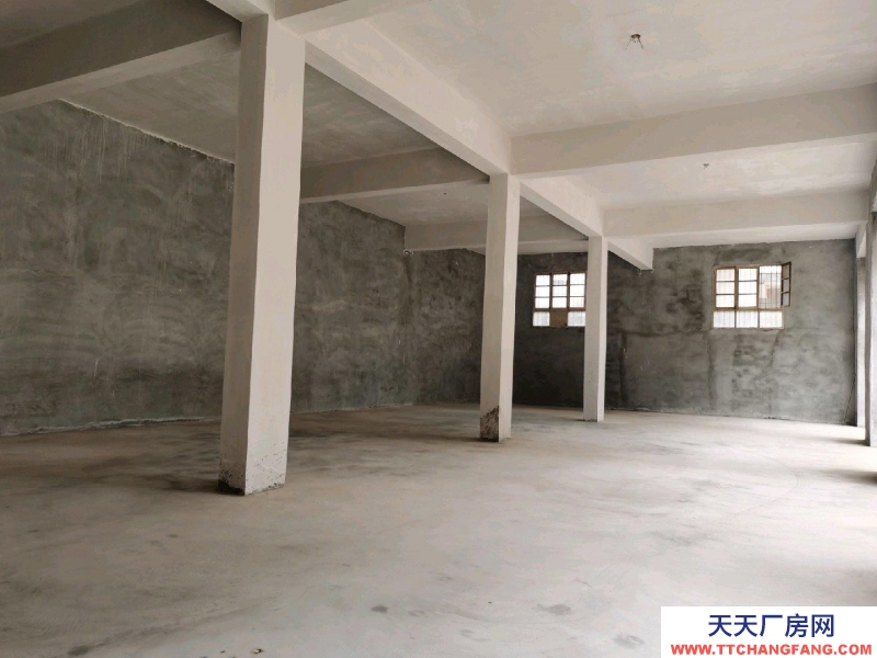 (出租) 天水秦城層高4米，交通便利，水電齊全，價格面議