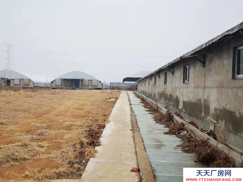 臨沂 臨沭40畝現(xiàn)代化養(yǎng)殖場，手續(xù)齊全，方正獨院，水電路好，養(yǎng)豬鴨