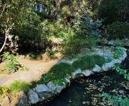 (出租) 長寧市中心獨(dú)棟帶三個(gè)院子 公司總部 展廳等