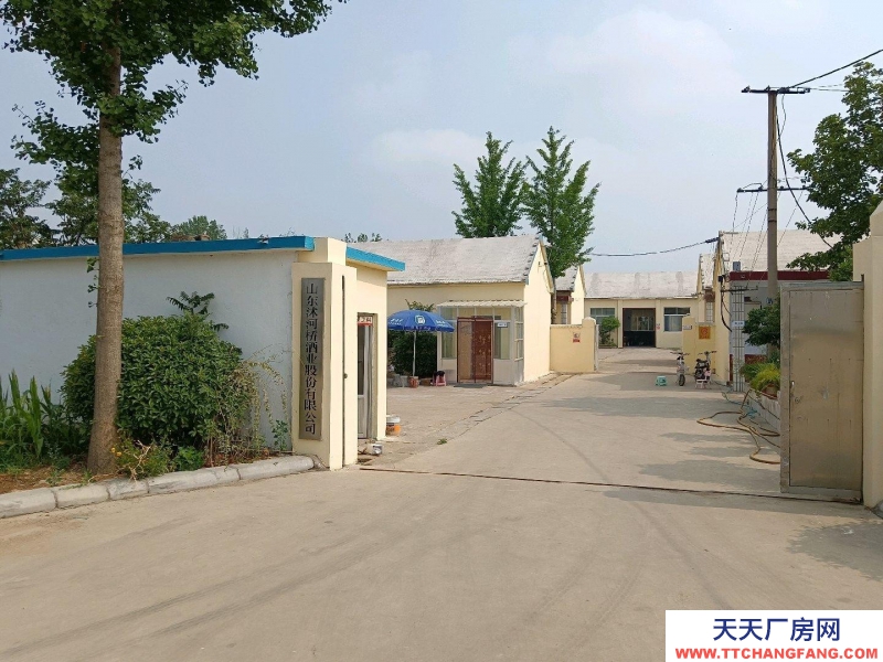 臨沂臨沭公司正常營業(yè)中，手續(xù)齊全，生產(chǎn)許可證到2027.6月。