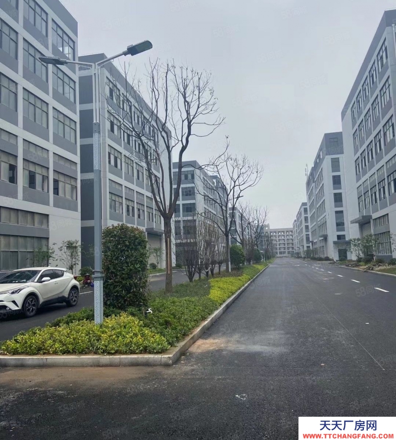 溫州永嘉(出售) 甌北五星工業區9畝16000平一樓層高8米車間長度100多米