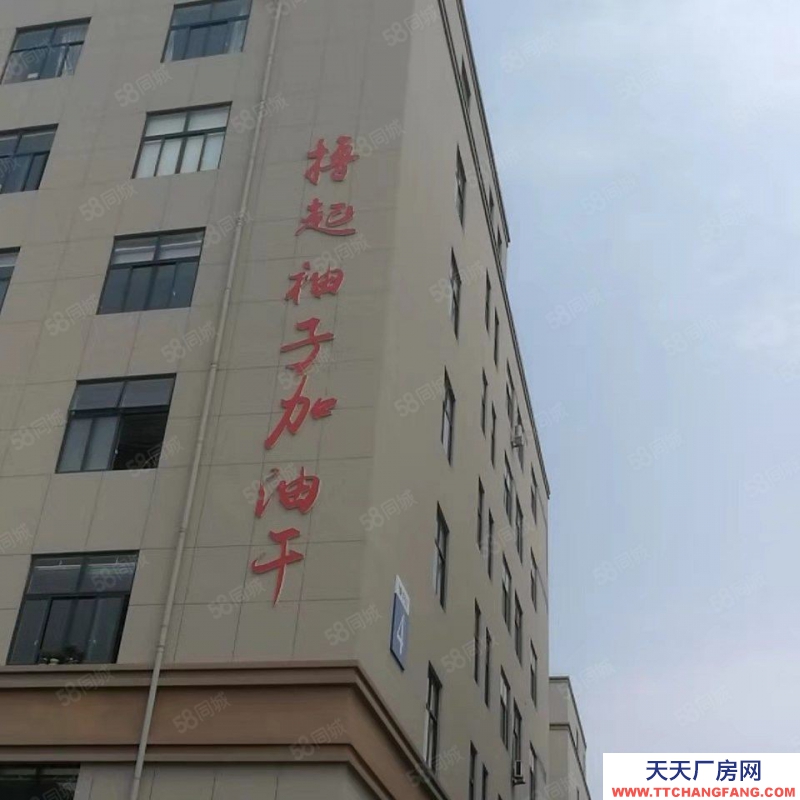 溫州平陽(出租) 國道邊廠房樓上，形象好進出方便適合各行各業