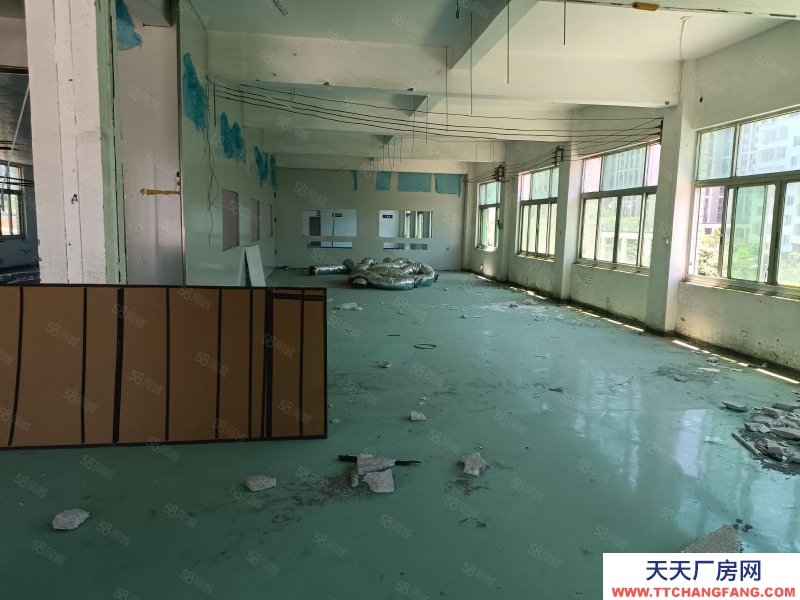 溫州平陽(出租) 熬江廠房出租整棟1~4層帶彩鋼棚約3500平米，低價出租。