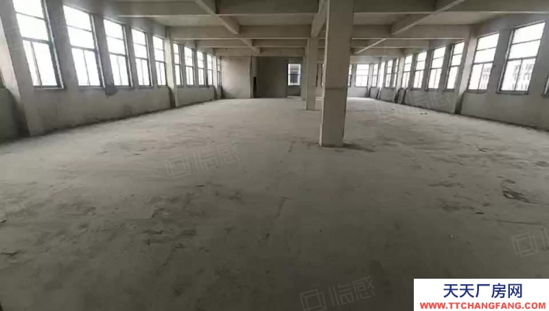 泰安泰山招商！博陽路省莊工業園 大型廠房 標準化車間 辦公室 寫字樓