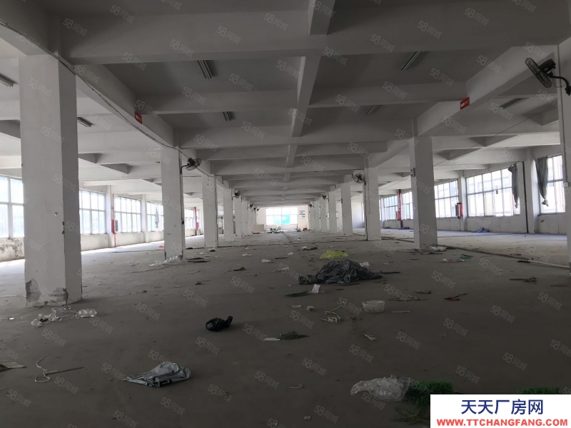 溫州平陽(出租) 標準廠房二樓出租，18含稅，貨梯10噸適合做機械帶行車