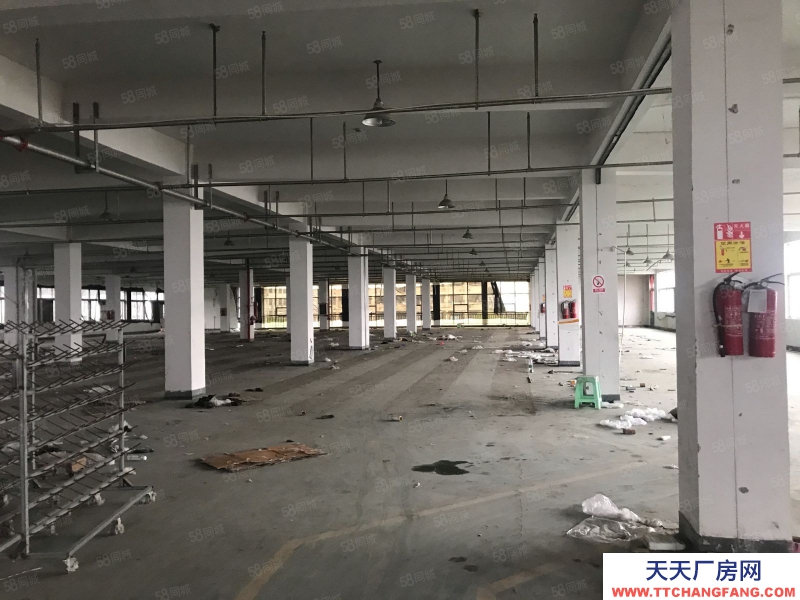 溫州平陽(出租) 標準廠房一幢可分出租適合做家具