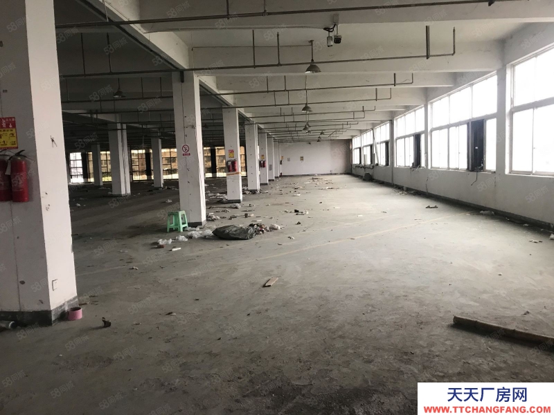 溫州平陽(出租) 標準廠房一幢可分出租適合做家具
