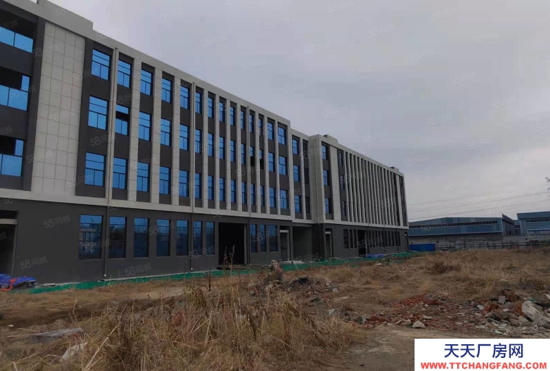 泰安泰山博陽路 省莊工業園 大型寫字樓 廠房 車間 可租可售！