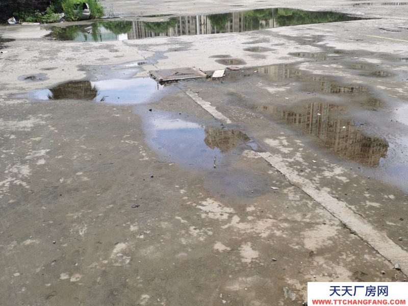 溫州平陽(出租) 整幢出租一至三層，每層1500平方，空地多