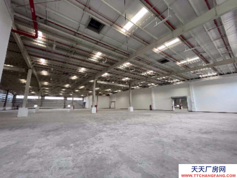 溫州平陽(出租) 出租溫州瑞安平陽 廠房庫