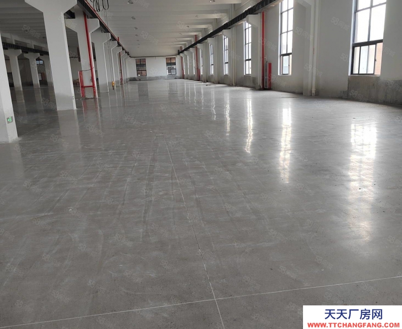 溫州平陽(出售) 出售平陽獨門獨院10畝建筑面積8500平方一樓利用率高