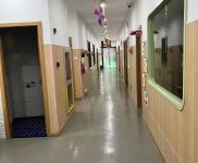 (出租) 虹口性托育所轉讓（已運營3年，現成營業執照食品經營許可