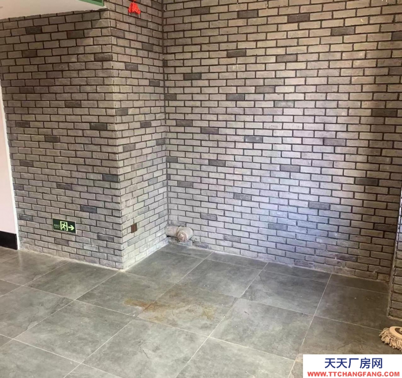 (出租) 大連中山區地下室非常大,總共600平,可以分割出租