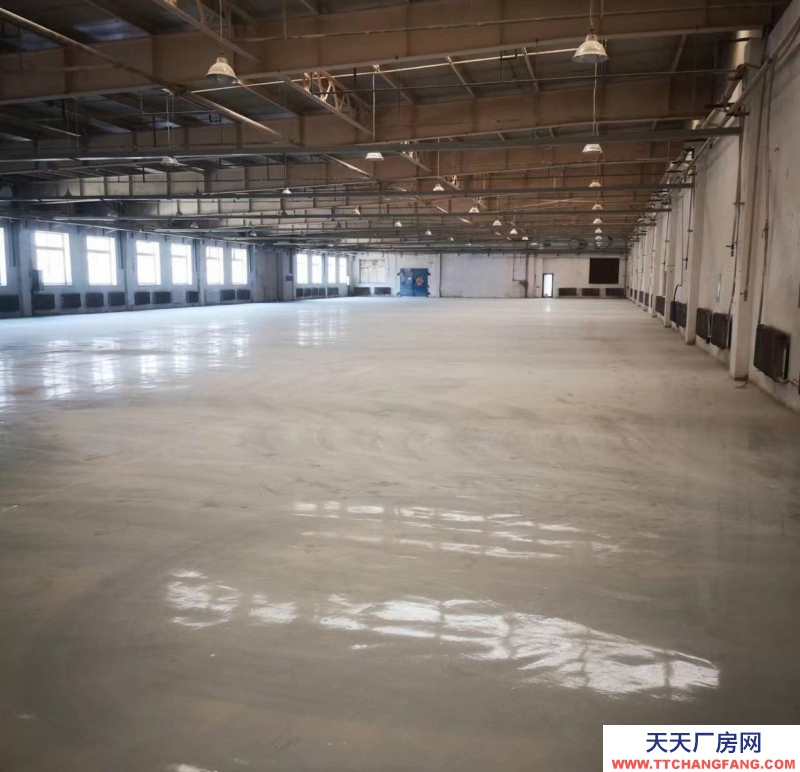 (出租)大連金州 獨(dú)門獨(dú)院，廠房，倉儲(chǔ)，大型樓庫物流，可分租，可合作，電商倉庫