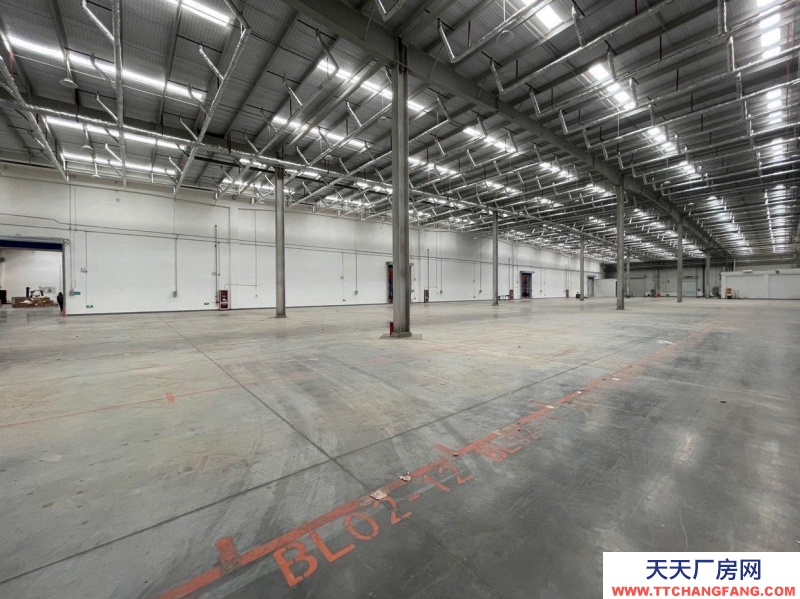 (出租) 大連金州金普新區(qū)高標(biāo)丙二類倉庫。生產(chǎn)、存儲(chǔ)、物流等企業(yè)可入駐