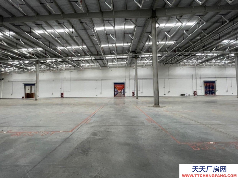 (出租) 大連金州金普新區(qū)高標(biāo)丙二類倉庫。生產(chǎn)、存儲(chǔ)、物流等企業(yè)可入駐