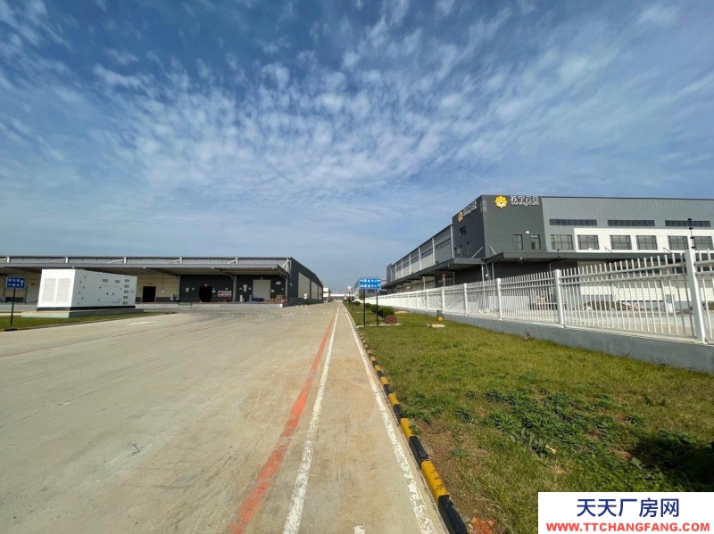 (出租) 大連金州金普新區(qū)高標(biāo)丙二類倉庫。生產(chǎn)、存儲(chǔ)、物流等企業(yè)可入駐