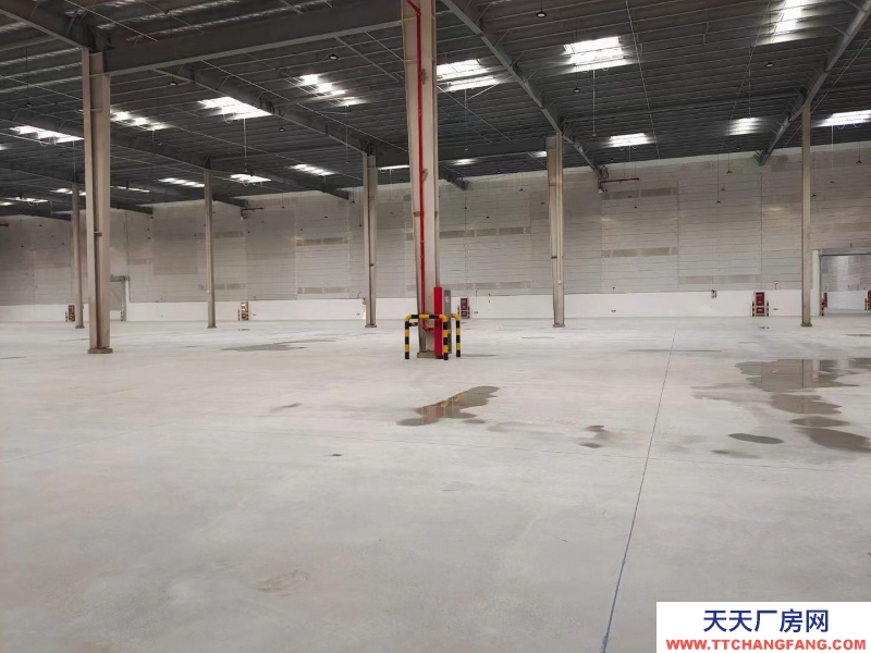 (出租) 大連市金州金普新區丙二類高標倉庫，生產、加工、物流倉儲均可