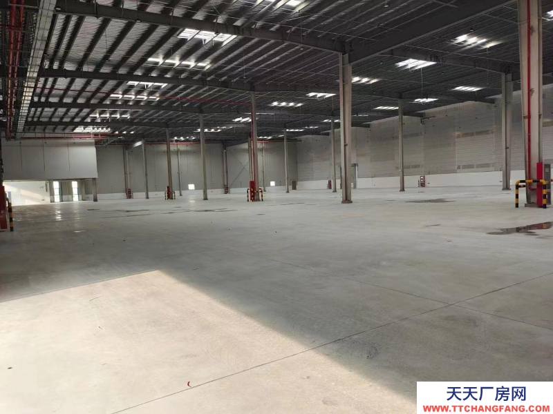 (出租) 大連市金州金普新區丙二類高標倉庫，生產、加工、物流倉儲均可