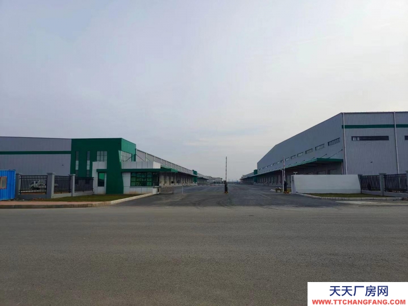 (出租) 大連市金州金普新區丙二類高標倉庫，生產、加工、物流倉儲均可