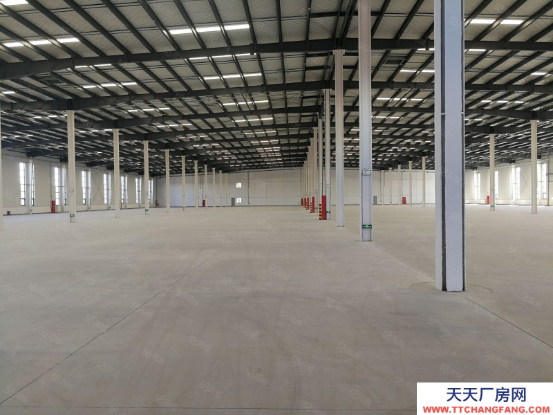 (出租) 大連金州區(qū)獨院30000平米倉庫出租(可以分租)適合物流公司