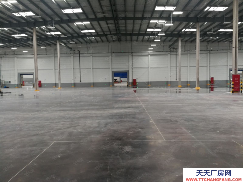 (出租) 大連金州區(qū)獨院30000平米倉庫出租(可以分租)適合物流公司