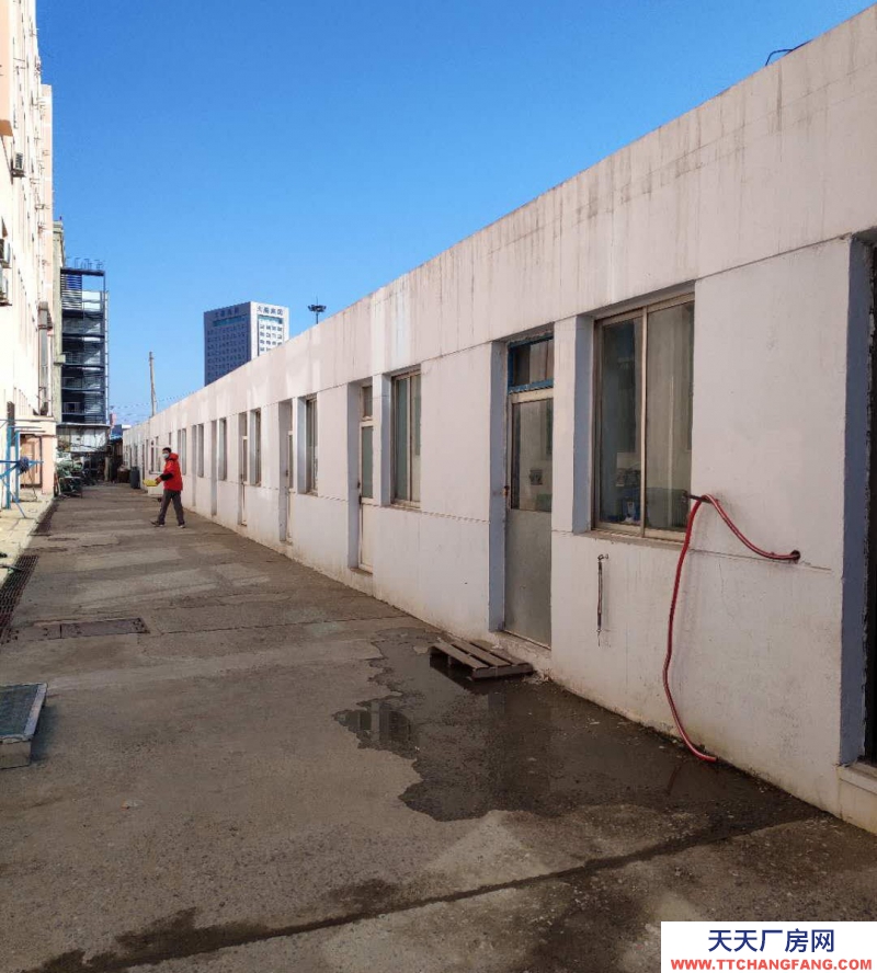 (出租) 大連西崗香爐礁海達(dá)集團(tuán)庫房