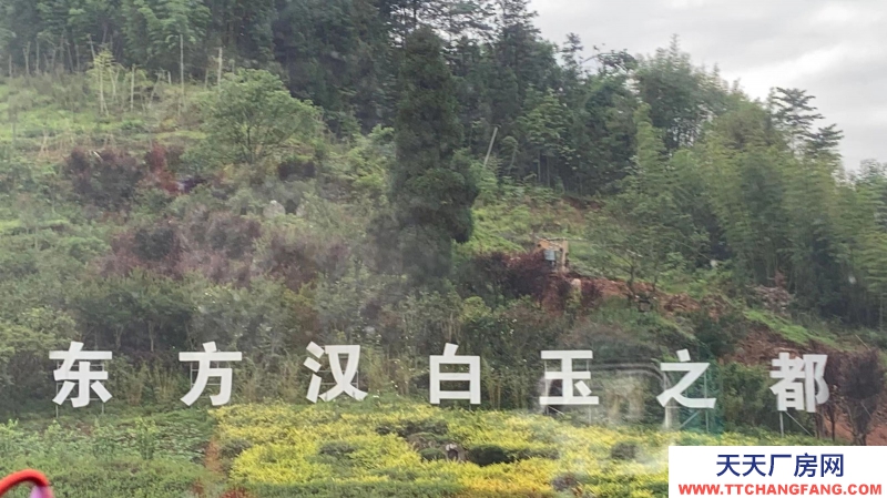 出售東方漢白玉之都廠房