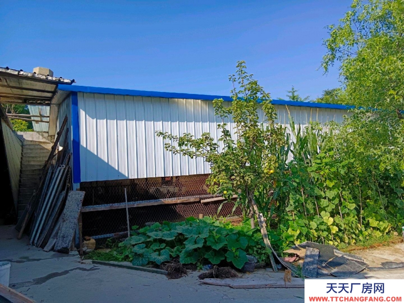 泰安岱岳車間600平方，辦公室120平方交通方便