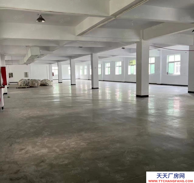 溫州蒼南縣(出租) 房東直租 蒼南金鄉(xiāng)鎮(zhèn)龍金大道二樓1000平標(biāo)準(zhǔn)廠房 交通便利