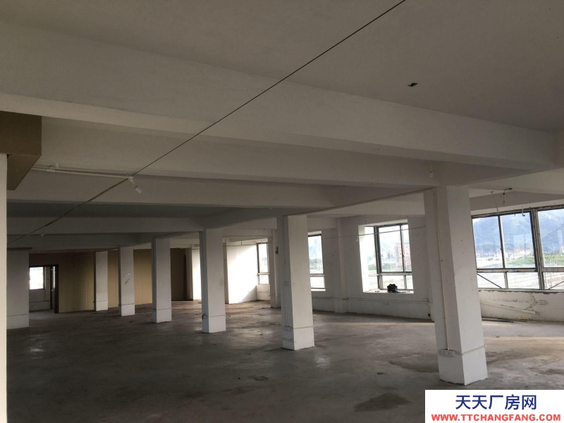 溫州蒼南縣(出租) 出租廠房 地址 龍港士金兜村