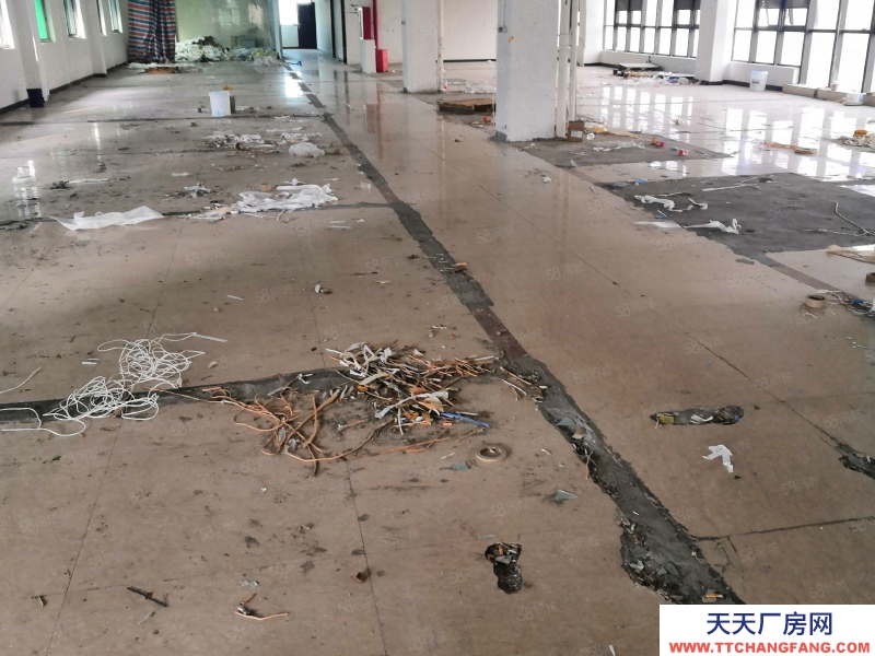 溫州蒼南縣(出租) 龍金大道邊廠房出租每層1600平米共4800平可以分租。