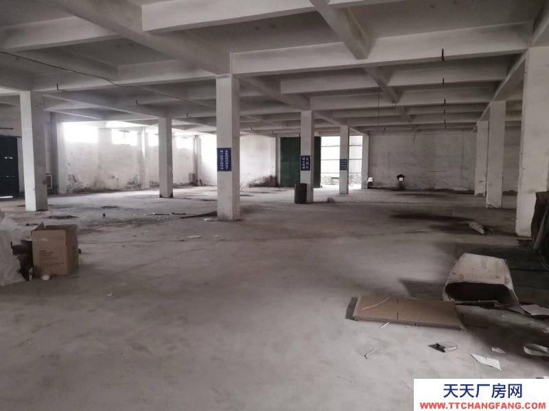 泰安寧陽出租八仙橋河西路名士華庭北