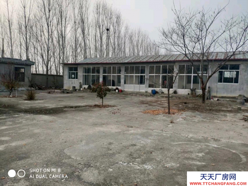 泰安寧陽交通便利，有廠房千余平可倉儲可加工